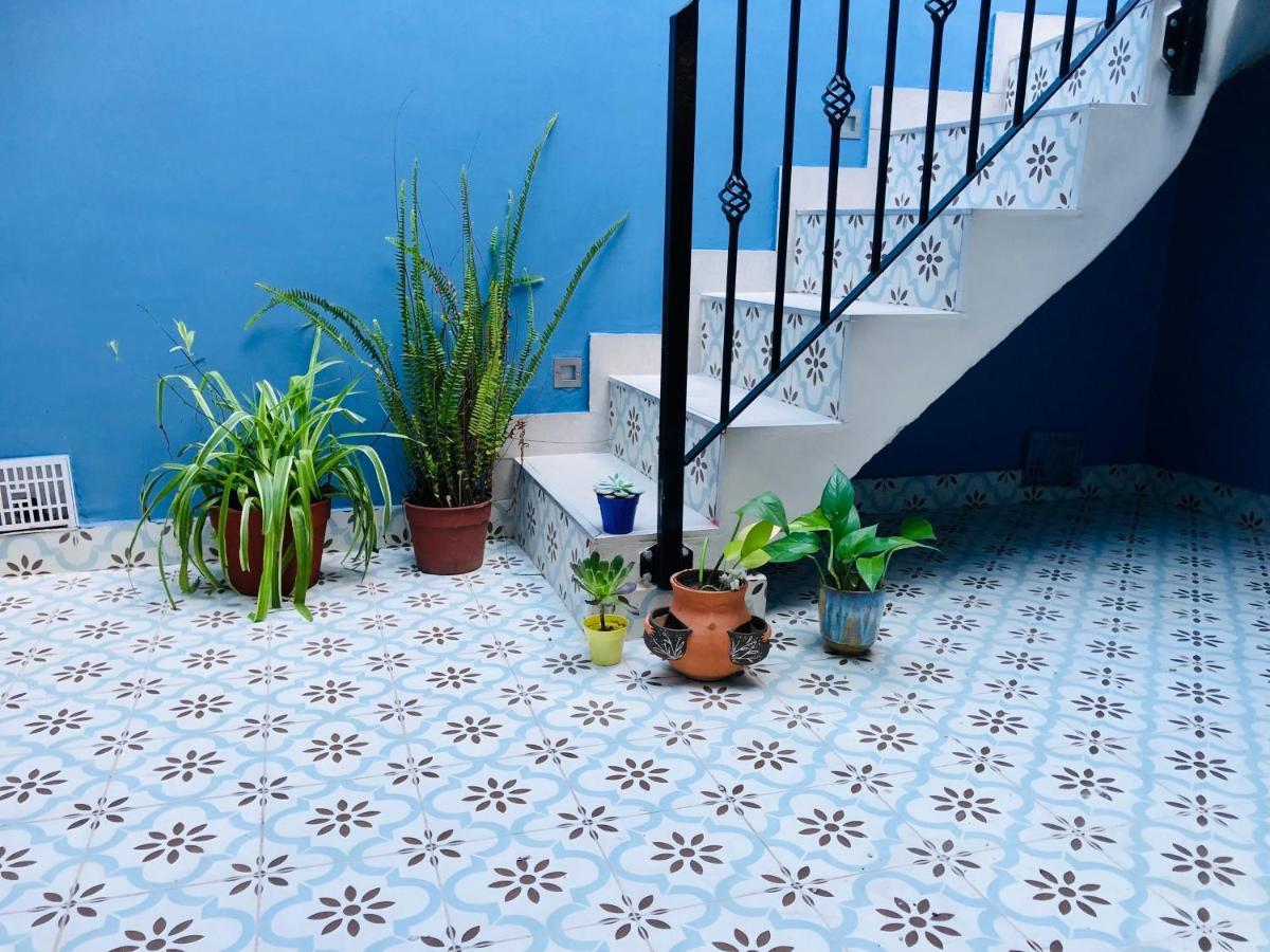 Pura Vida Holiday home *